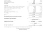 do accounting and finance, financial analysis, valuation and optimization report